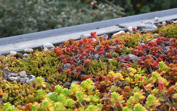 the cost of Winestead green roof installation