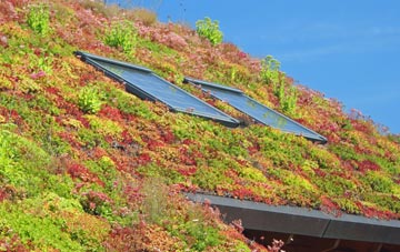 Winestead living roof systems