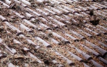 Winestead roof cleaning companies