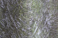 Winestead fibreglass roof work